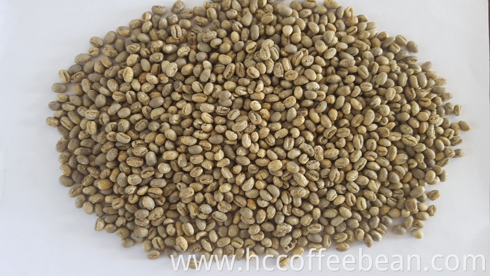 Chinese green coffee beans small size factory